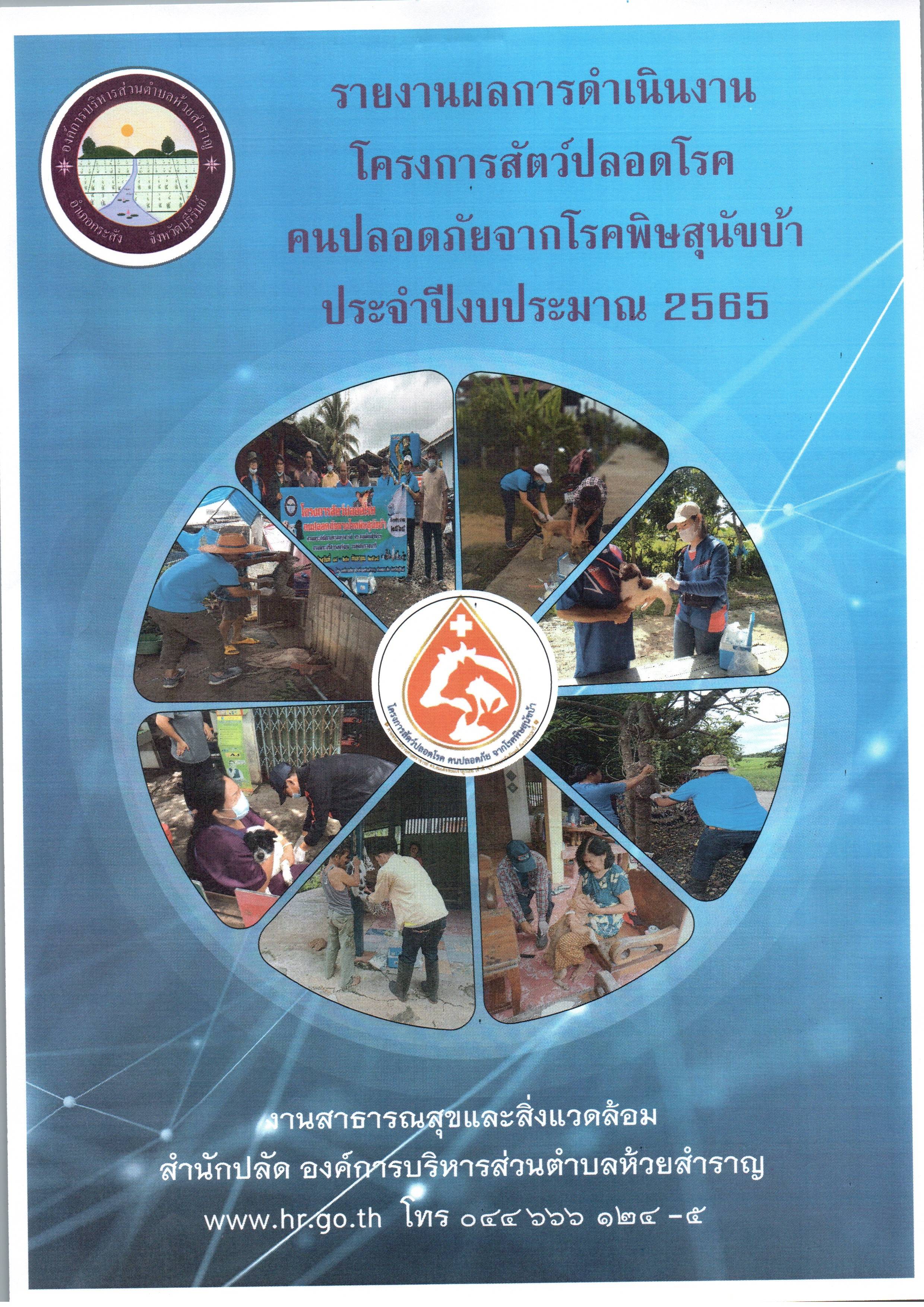 ปกหมาแมว65